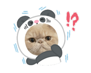 846077302