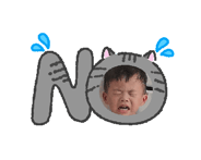 846077681