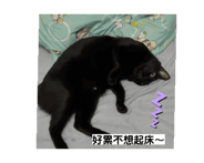 846077827