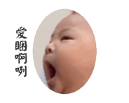 846078217