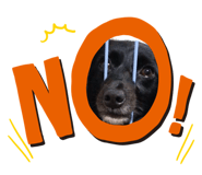 846078411