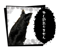 846078424
