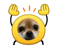 846078635