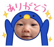 846078653