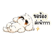 846079090