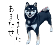 846080027