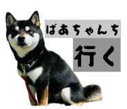 846080028