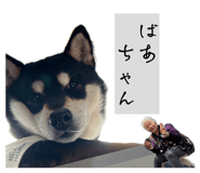 846080035