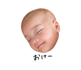 846080334