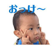 846080377