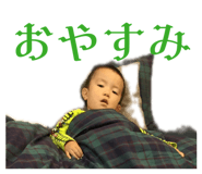 846080379