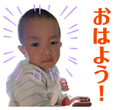 846080380