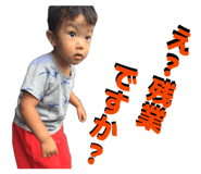 846080381