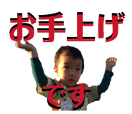 846080383