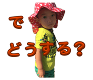 846080385