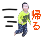 846080394
