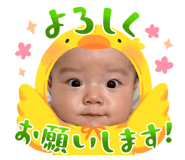 846080429