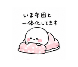 846080450