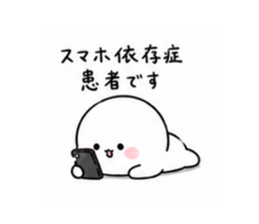 846080462