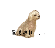 846080625