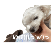 846080631
