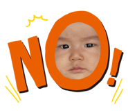 846080660