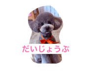 846081393