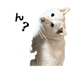 846081538