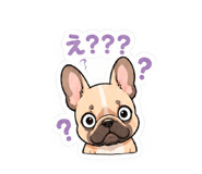 846081671