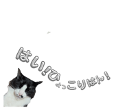 846082011
