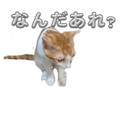 846082012