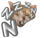 846082021