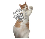 846082025