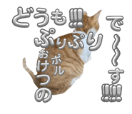 846082029