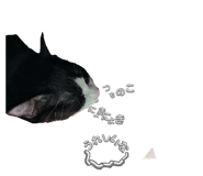 846082031