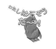 846082036