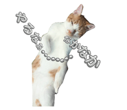 846082038