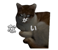 846082043