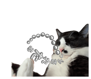 846082045