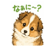 846082540