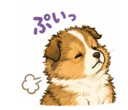 846082544