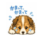 846082546