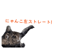 846082795