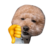 846084402