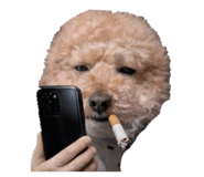 846084414