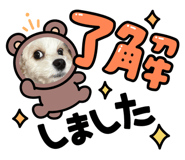 846086965