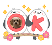 846086967