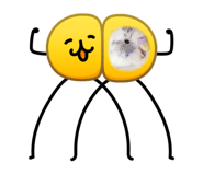 846087049