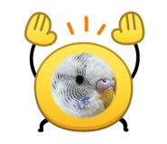 846087054