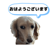 846087262